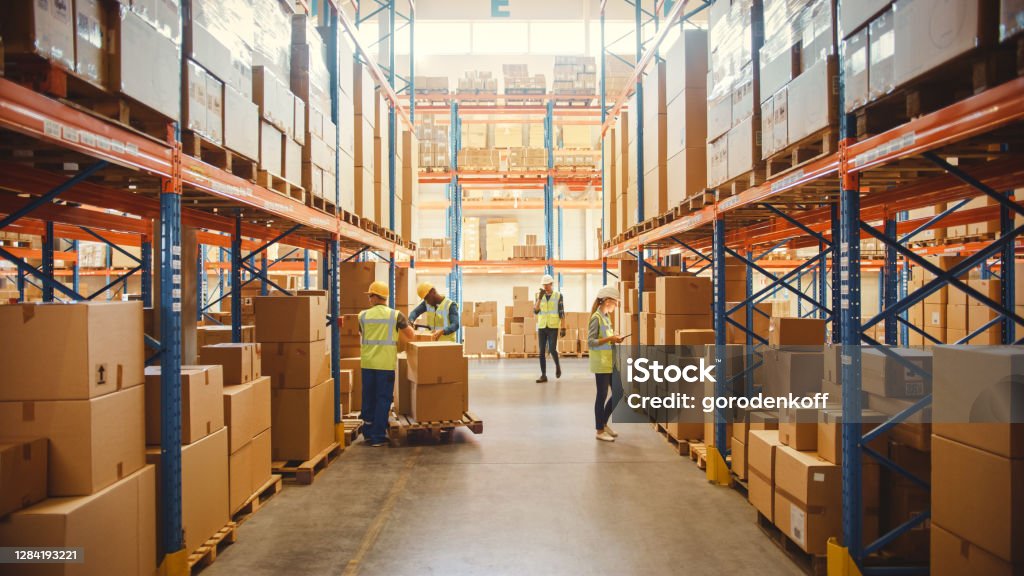 whatsapp image 2026 02 08 at 4.30.39 am